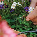 Micro Irrigation Product Line
