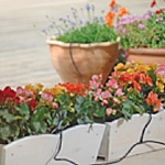 Watering Kit
